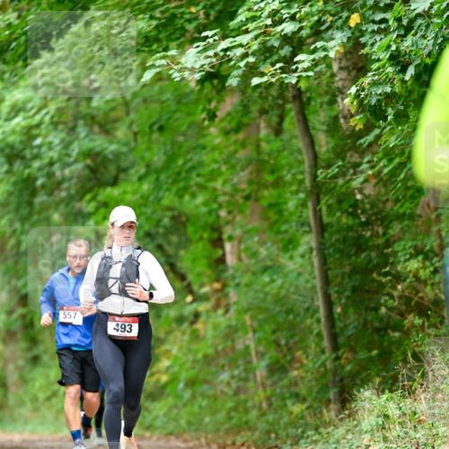 11.10.2026 - Bramfelder Halbmarathon 2026 Dr. Thomas Lammeyer http://msf.ph/oto/10826654 11.10.2026 10:57:56 Laufen 557, 493 meine-sportfotos.de