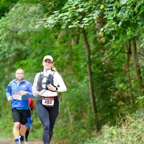 11.10.2026 - Bramfelder Halbmarathon 2026 Dr. Thomas Lammeyer http://msf.ph/oto/10826660 11.10.2026 10:57:58 Laufen 557, 493 meine-sportfotos.de