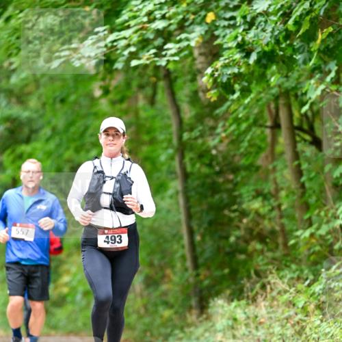 11.10.2026 - Bramfelder Halbmarathon 2026 Dr. Thomas Lammeyer http://msf.ph/oto/10826664 11.10.2026 10:57:58 Laufen 557, 493 meine-sportfotos.de