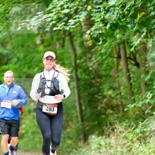 11.10.2026 - Bramfelder Halbmarathon 2026 Dr. Thomas Lammeyer http://msf.ph/oto/10826666 11.10.2026 10:57:58 Laufen 557, 493 meine-sportfotos.de