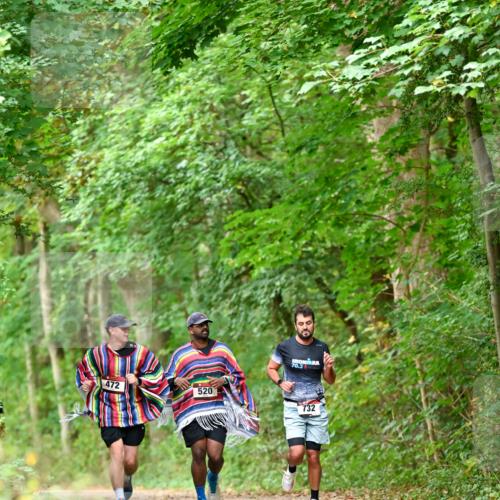 11.10.2026 - Bramfelder Halbmarathon 2026 Dr. Thomas Lammeyer http://msf.ph/oto/10826800 11.10.2026 10:59:09 Laufen 472, 520, 70, 3, 732 meine-sportfotos.de