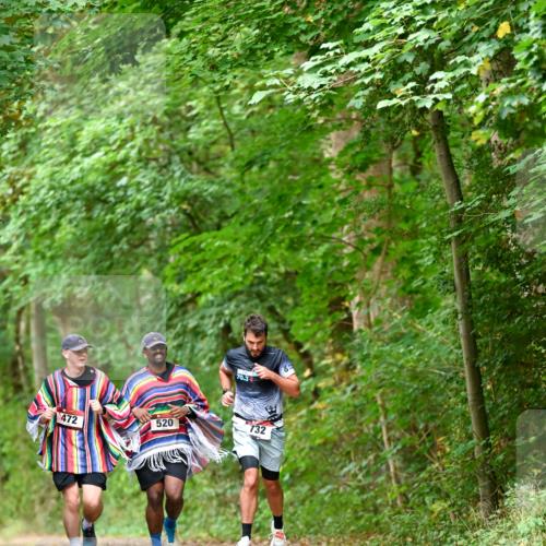 11.10.2026 - Bramfelder Halbmarathon 2026 Dr. Thomas Lammeyer http://msf.ph/oto/10826806 11.10.2026 10:59:10 Laufen 70, 3, 472, 520, 732 meine-sportfotos.de