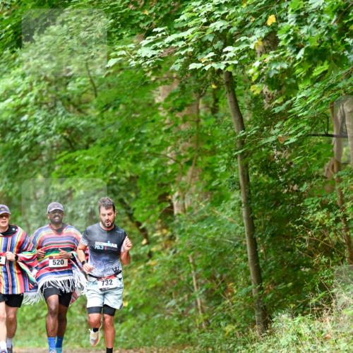 11.10.2026 - Bramfelder Halbmarathon 2026 Dr. Thomas Lammeyer http://msf.ph/oto/10826810 11.10.2026 10:59:10 Laufen 2, 520, 70, 3, 732 meine-sportfotos.de