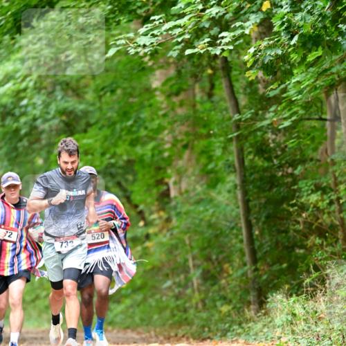 11.10.2026 - Bramfelder Halbmarathon 2026 Dr. Thomas Lammeyer http://msf.ph/oto/10826824 11.10.2026 10:59:12 Laufen 72, 520, 732 meine-sportfotos.de