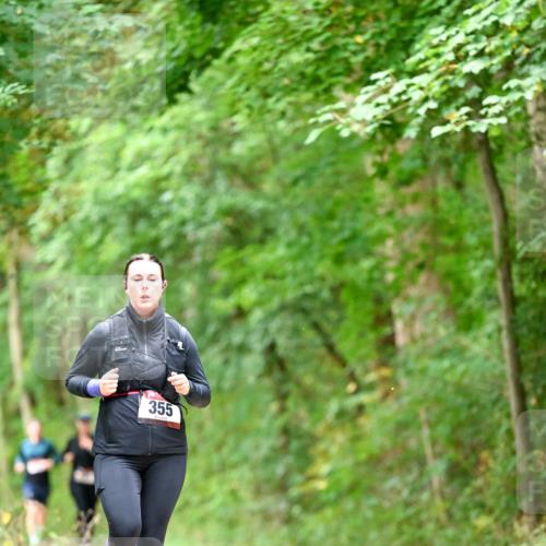 11.10.2026 - Bramfelder Halbmarathon 2026 Dr. Thomas Lammeyer http://msf.ph/oto/10826925 11.10.2026 10:59:37 Laufen 355 meine-sportfotos.de