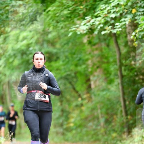 11.10.2026 - Bramfelder Halbmarathon 2026 Dr. Thomas Lammeyer http://msf.ph/oto/10826932 11.10.2026 10:59:38 Laufen 355 meine-sportfotos.de