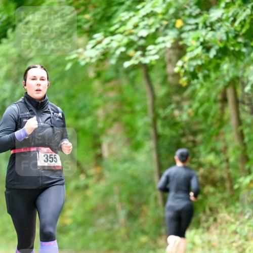 11.10.2026 - Bramfelder Halbmarathon 2026 Dr. Thomas Lammeyer http://msf.ph/oto/10826939 11.10.2026 10:59:39 Laufen 355 meine-sportfotos.de