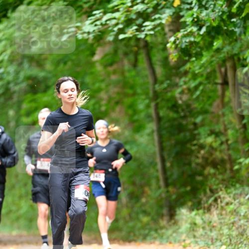 11.10.2026 - Bramfelder Halbmarathon 2026 Dr. Thomas Lammeyer http://msf.ph/oto/10827058 11.10.2026 11:00:27 Laufen 976, 0 meine-sportfotos.de