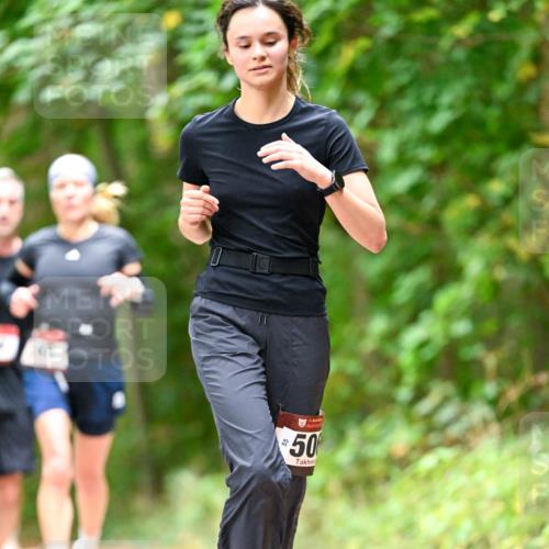 11.10.2026 - Bramfelder Halbmarathon 2026 Dr. Thomas Lammeyer http://msf.ph/oto/10827077 11.10.2026 11:00:30 Laufen 50 meine-sportfotos.de