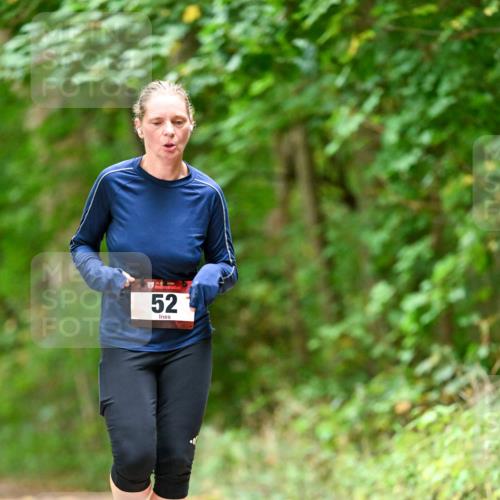 11.10.2026 - Bramfelder Halbmarathon 2026 Dr. Thomas Lammeyer http://msf.ph/oto/10827148 11.10.2026 11:00:57 Laufen 52 meine-sportfotos.de