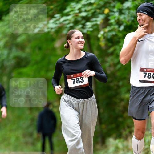 11.10.2026 - Bramfelder Halbmarathon 2026 Dr. Thomas Lammeyer http://msf.ph/oto/10827264 11.10.2026 11:01:27 Laufen 35, 783, 784 meine-sportfotos.de
