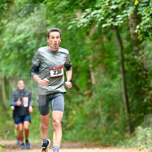 11.10.2026 - Bramfelder Halbmarathon 2026 Dr. Thomas Lammeyer http://msf.ph/oto/10827358 11.10.2026 11:01:51 Laufen 230 meine-sportfotos.de