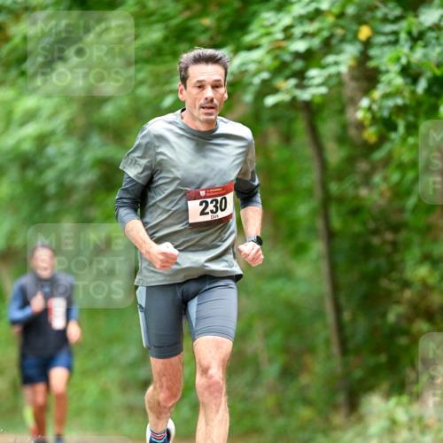 11.10.2026 - Bramfelder Halbmarathon 2026 Dr. Thomas Lammeyer http://msf.ph/oto/10827364 11.10.2026 11:01:52 Laufen 230 meine-sportfotos.de