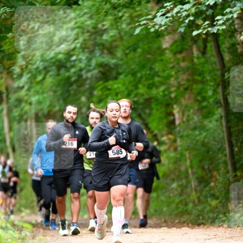 11.10.2026 - Bramfelder Halbmarathon 2026 Dr. Thomas Lammeyer http://msf.ph/oto/10827508 11.10.2026 11:03:06 Laufen 216, 21, 585 meine-sportfotos.de