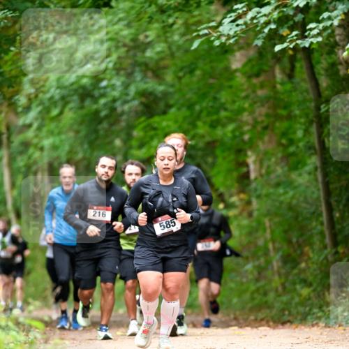 11.10.2026 - Bramfelder Halbmarathon 2026 Dr. Thomas Lammeyer http://msf.ph/oto/10827509 11.10.2026 11:03:06 Laufen 216, 585 meine-sportfotos.de