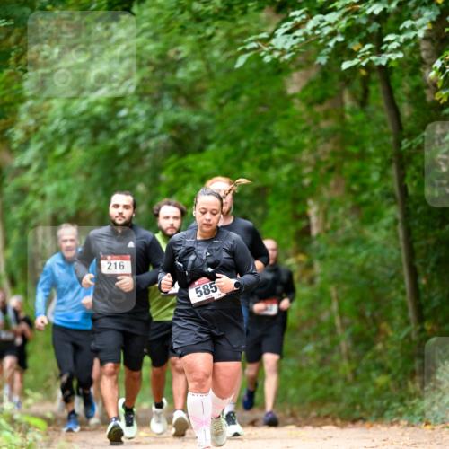 11.10.2026 - Bramfelder Halbmarathon 2026 Dr. Thomas Lammeyer http://msf.ph/oto/10827511 11.10.2026 11:03:06 Laufen 216, 585 meine-sportfotos.de