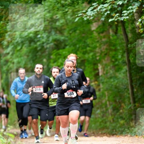 11.10.2026 - Bramfelder Halbmarathon 2026 Dr. Thomas Lammeyer http://msf.ph/oto/10827512 11.10.2026 11:03:07 Laufen 216, 217, 585 meine-sportfotos.de