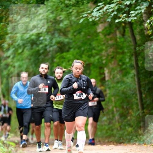 11.10.2026 - Bramfelder Halbmarathon 2026 Dr. Thomas Lammeyer http://msf.ph/oto/10827513 11.10.2026 11:03:07 Laufen 216, 217, 585, 75 meine-sportfotos.de