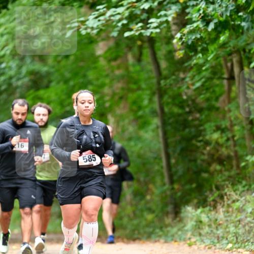 11.10.2026 - Bramfelder Halbmarathon 2026 Dr. Thomas Lammeyer http://msf.ph/oto/10827519 11.10.2026 11:03:08 Laufen 16, 585 meine-sportfotos.de