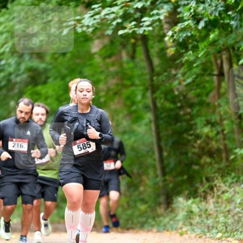 11.10.2026 - Bramfelder Halbmarathon 2026 Dr. Thomas Lammeyer http://msf.ph/oto/10827520 11.10.2026 11:03:08 Laufen 216, 585, 75 meine-sportfotos.de