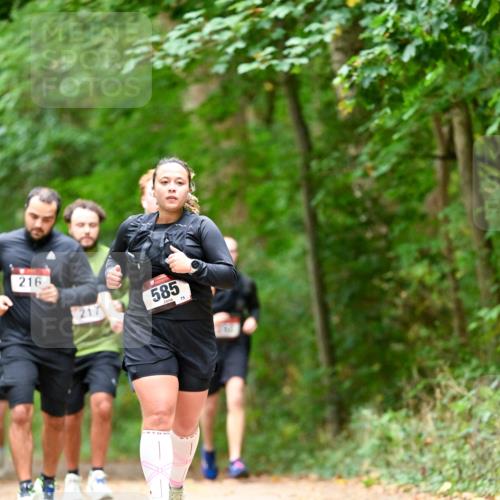 11.10.2026 - Bramfelder Halbmarathon 2026 Dr. Thomas Lammeyer http://msf.ph/oto/10827521 11.10.2026 11:03:08 Laufen 216, 217, 585, 75 meine-sportfotos.de