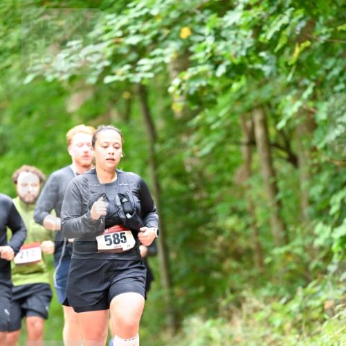 11.10.2026 - Bramfelder Halbmarathon 2026 Dr. Thomas Lammeyer http://msf.ph/oto/10827528 11.10.2026 11:03:09 Laufen 217, 585, 75 meine-sportfotos.de