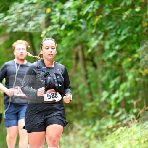 11.10.2026 - Bramfelder Halbmarathon 2026 Dr. Thomas Lammeyer http://msf.ph/oto/10827535 11.10.2026 11:03:10 Laufen 20, 585, 75 meine-sportfotos.de