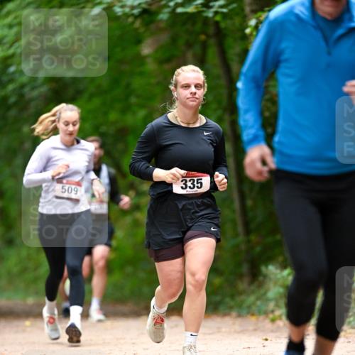 11.10.2026 - Bramfelder Halbmarathon 2026 Dr. Thomas Lammeyer http://msf.ph/oto/10827557 11.10.2026 11:03:15 Laufen 509, 335 meine-sportfotos.de