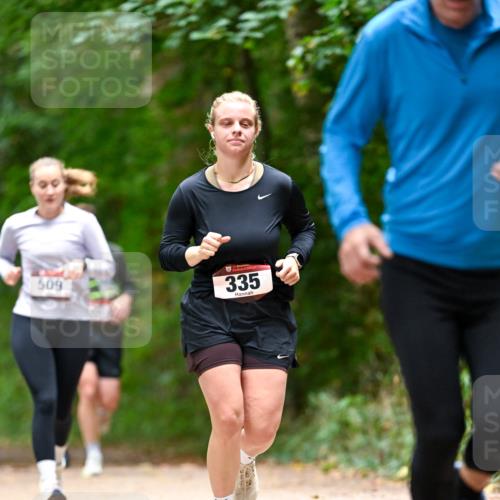 11.10.2026 - Bramfelder Halbmarathon 2026 Dr. Thomas Lammeyer http://msf.ph/oto/10827560 11.10.2026 11:03:15 Laufen 509, 335 meine-sportfotos.de