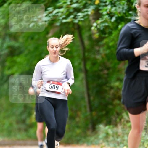 11.10.2026 - Bramfelder Halbmarathon 2026 Dr. Thomas Lammeyer http://msf.ph/oto/10827565 11.10.2026 11:03:17 Laufen 509 meine-sportfotos.de
