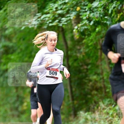 11.10.2026 - Bramfelder Halbmarathon 2026 Dr. Thomas Lammeyer http://msf.ph/oto/10827567 11.10.2026 11:03:17 Laufen 509 meine-sportfotos.de