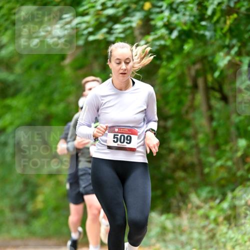 11.10.2026 - Bramfelder Halbmarathon 2026 Dr. Thomas Lammeyer http://msf.ph/oto/10827571 11.10.2026 11:03:17 Laufen 509 meine-sportfotos.de