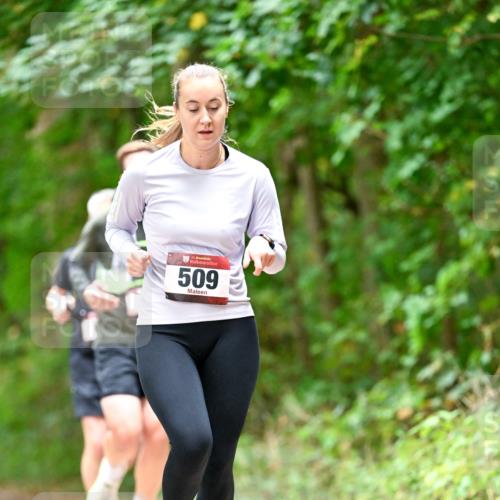 11.10.2026 - Bramfelder Halbmarathon 2026 Dr. Thomas Lammeyer http://msf.ph/oto/10827574 11.10.2026 11:03:18 Laufen 35, 509 meine-sportfotos.de