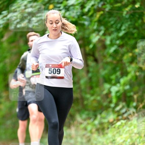 11.10.2026 - Bramfelder Halbmarathon 2026 Dr. Thomas Lammeyer http://msf.ph/oto/10827575 11.10.2026 11:03:18 Laufen 35, 509 meine-sportfotos.de