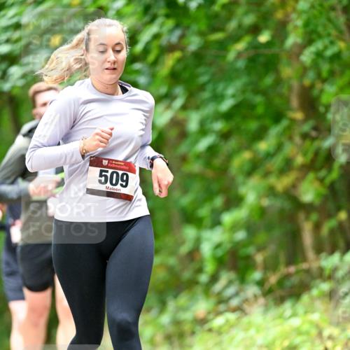 11.10.2026 - Bramfelder Halbmarathon 2026 Dr. Thomas Lammeyer http://msf.ph/oto/10827578 11.10.2026 11:03:18 Laufen 35, 509 meine-sportfotos.de