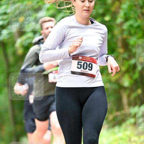 11.10.2026 - Bramfelder Halbmarathon 2026 Dr. Thomas Lammeyer http://msf.ph/oto/10827584 11.10.2026 11:03:19 Laufen 35, 509 meine-sportfotos.de