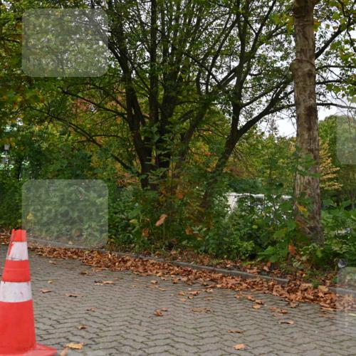 11.10.2026 - Bramfelder Halbmarathon 2026 J. Mangold http://msf.ph/oto/10827667 11.10.2026 10:42:45 Laufen 16, 243, 357, 616 meine-sportfotos.de