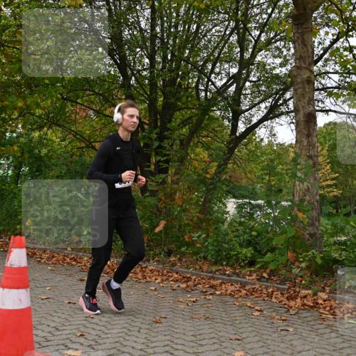 11.10.2026 - Bramfelder Halbmarathon 2026 J. Mangold http://msf.ph/oto/10827672 11.10.2026 10:42:46 Laufen 16, 243, 357, 616 meine-sportfotos.de