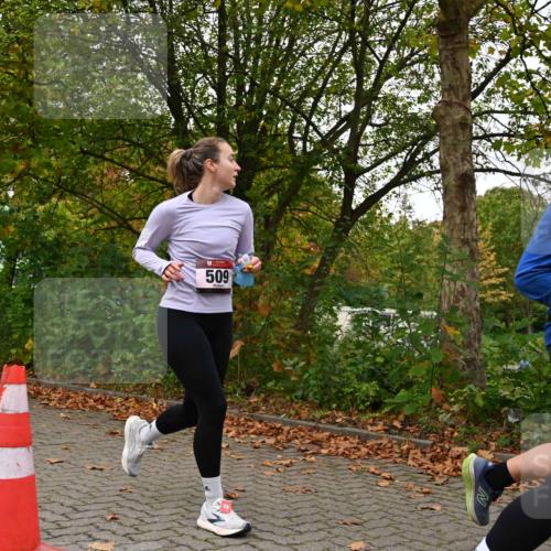 11.10.2026 - Bramfelder Halbmarathon 2026 J. Mangold http://msf.ph/oto/10827716 11.10.2026 10:42:53 Laufen 243, 509, 616, 623, 624 meine-sportfotos.de