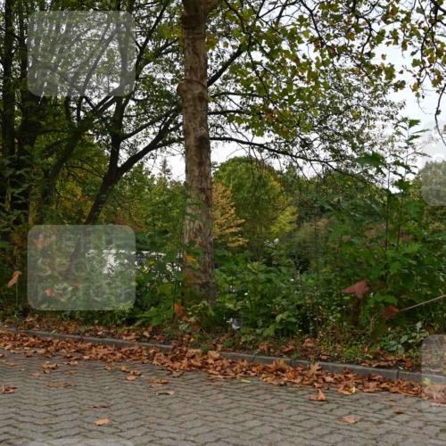 11.10.2026 - Bramfelder Halbmarathon 2026 J. Mangold http://msf.ph/oto/10827799 11.10.2026 10:44:15 Laufen 274, 708, 709 meine-sportfotos.de