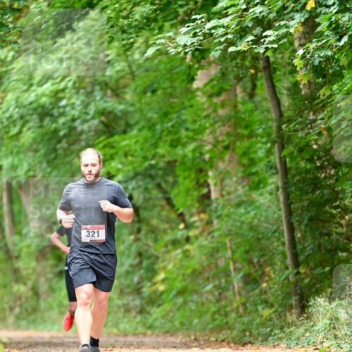 11.10.2026 - Bramfelder Halbmarathon 2026 Dr. Thomas Lammeyer http://msf.ph/oto/10827852 11.10.2026 11:04:32 Laufen 321 meine-sportfotos.de
