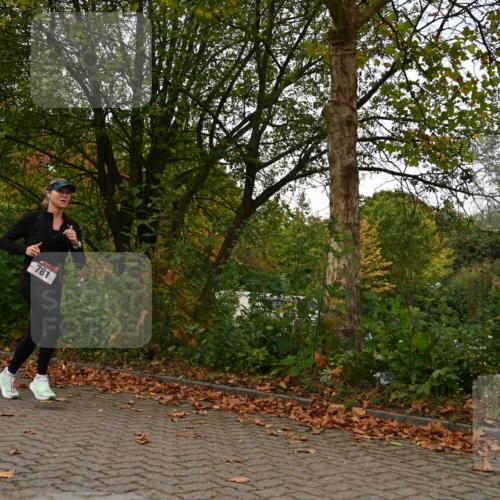 11.10.2026 - Bramfelder Halbmarathon 2026 J. Mangold http://msf.ph/oto/10827878 11.10.2026 10:44:52 Laufen 272, 732, 781 meine-sportfotos.de