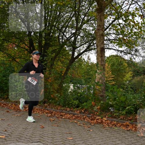 11.10.2026 - Bramfelder Halbmarathon 2026 J. Mangold http://msf.ph/oto/10827880 11.10.2026 10:44:53 Laufen 272, 732, 781 meine-sportfotos.de