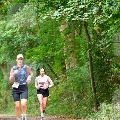 11.10.2026 - Bramfelder Halbmarathon 2026 Dr. Thomas Lammeyer http://msf.ph/oto/10827964 11.10.2026 11:04:46 Laufen 212, 346 meine-sportfotos.de