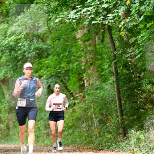11.10.2026 - Bramfelder Halbmarathon 2026 Dr. Thomas Lammeyer http://msf.ph/oto/10827965 11.10.2026 11:04:46 Laufen 212, 416 meine-sportfotos.de
