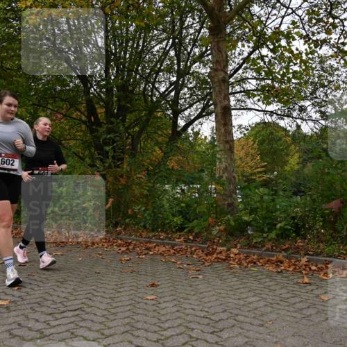 11.10.2026 - Bramfelder Halbmarathon 2026 J. Mangold http://msf.ph/oto/10827968 11.10.2026 10:45:44 Laufen 260, 601, 602, 704, 814, 815 meine-sportfotos.de
