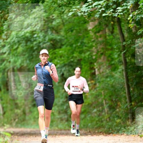 11.10.2026 - Bramfelder Halbmarathon 2026 Dr. Thomas Lammeyer http://msf.ph/oto/10827970 11.10.2026 11:04:47 Laufen 212, 346 meine-sportfotos.de