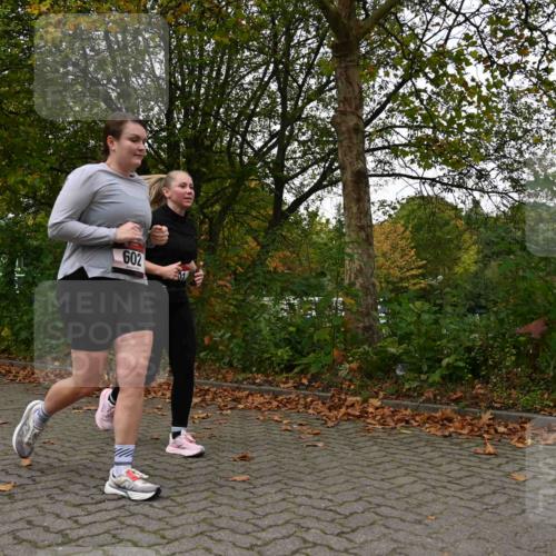 11.10.2026 - Bramfelder Halbmarathon 2026 J. Mangold http://msf.ph/oto/10827973 11.10.2026 10:45:44 Laufen 260, 601, 602, 704, 814, 815 meine-sportfotos.de