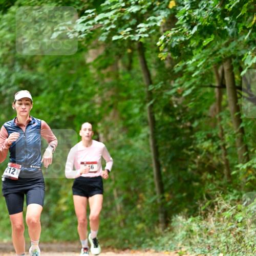 11.10.2026 - Bramfelder Halbmarathon 2026 Dr. Thomas Lammeyer http://msf.ph/oto/10827982 11.10.2026 11:04:48 Laufen 212 meine-sportfotos.de