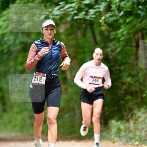 11.10.2026 - Bramfelder Halbmarathon 2026 Dr. Thomas Lammeyer http://msf.ph/oto/10828006 11.10.2026 11:04:49 Laufen 212, 346 meine-sportfotos.de
